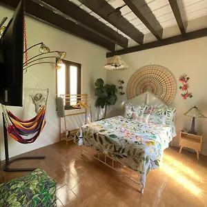 The Garden Apartment, The Willow Apartment, & The Tropical At Casa Of Essence In Old Puerto Rico